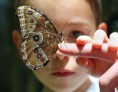 /album/fotogaleria/autismo-5-jpg/